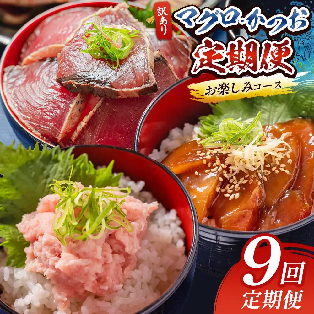 【定期便/計9回】海鮮【惣菜海鮮】 Wda-0053