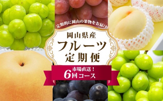 
                  フルーツ 定期便 2027年 フルーツ王国 岡山を堪能 6回コース 夏・秋・冬物語 桃 もも 葡萄 ぶどう 梨 なし岡山県産 国産 果物 セット ギフト
                