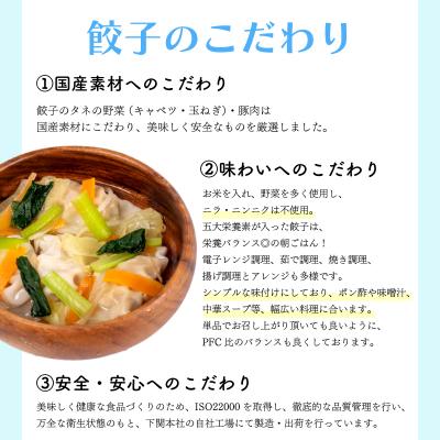 ふるさと納税 下関市 シモノセキギョウザ 120個 30個×4パック 冷凍 小分け 日指定可 ぎょうざ IB009-y |  | 01