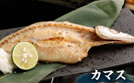 【訳あり干物】室戸産 地魚 干物 3kg