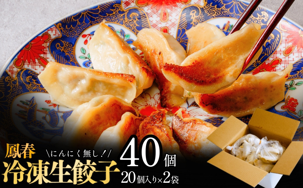 
            鳳春の冷凍生餃子40個セット<にんに不使用> | 埼玉県 上尾市 餃子 ギョウザ 中華 町中華  中華料理 キャベツ ごはん 白米 おかず 晩御飯 美味しい おいしい 楽 惣菜 お惣菜 簡単 冷凍 冷凍食品 人気
          