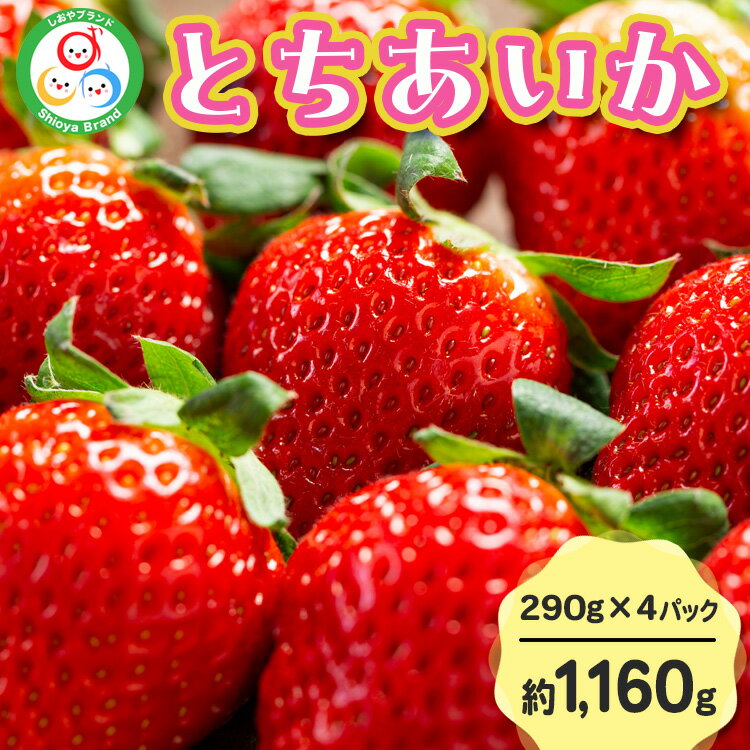 【ふるさと納税】【先行予約】とちあいか 290g×4パック 計1160g｜いちご イチゴ 苺 贈答用 ギフト 風袋入り 平詰め ハンモックトレー 果物 くだもの フルーツ 数量限定 しおやブランド いちごソムリエ 栃木県 ※2026年1月中旬～3月下旬頃に順次発送予定 ※離島への配送不可