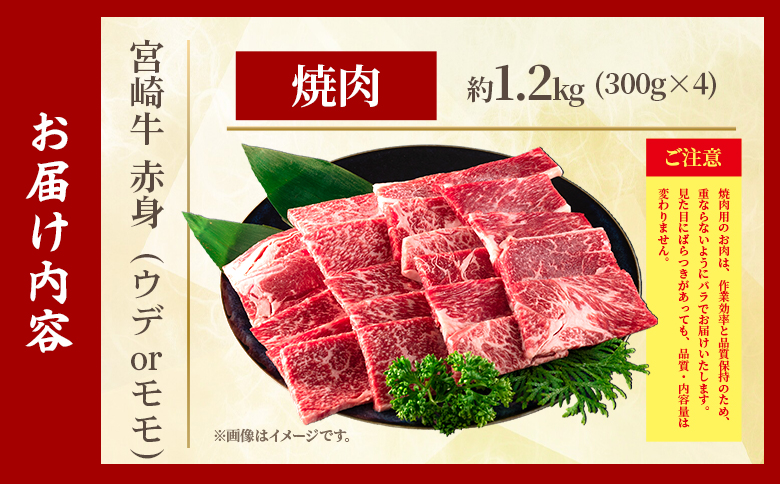 ＜宮崎牛赤身【焼肉】（ウデorモモ）1.2kg＞【10月発送】脂控えめ ヘルシー あっさり うで もも 炒め物 肉料理 ご馳走 国産 ブランド牛肉 黒毛和牛【MI684-my-oct】【ミヤチク】