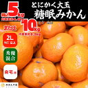 【ふるさと納税】熟成 みかん とにかく 大玉 箱込5kg または 10kg 2Lサイズ以上 秀品 優品 混合 有田みかん 和歌山産 産地直送 家庭用【みかんの会】 | 和歌山 フルーツ 果物 くだもの かんきつ 柑橘 柑橘類 みかんの会 送料込み 送料無料