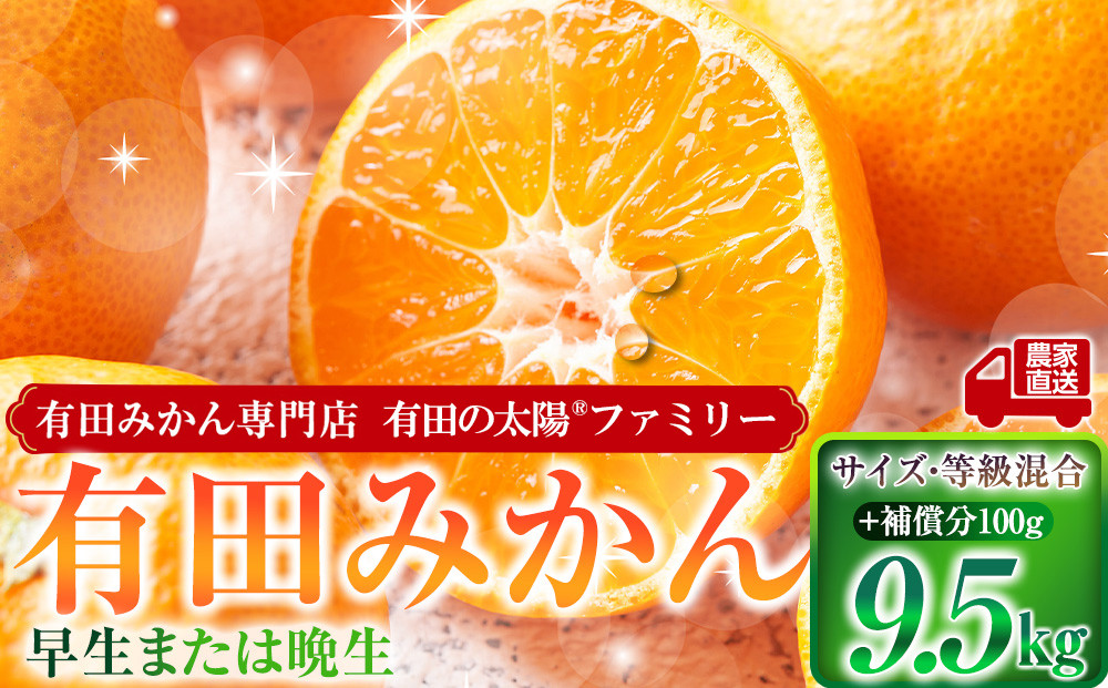 有田みかん専門店 有田の太陽®ファミリー 早生または晩生 有田みかん 9.5kg＋補償分100g 山採れ・サイズ・等級 混合