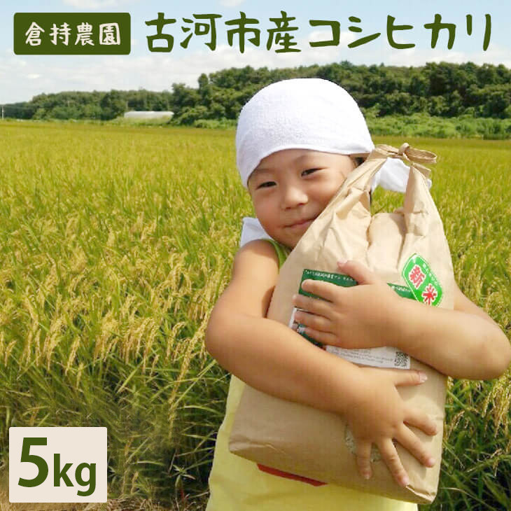 
            【令和7年産】古河市産　コシヒカリ5kg【倉持農園】 | 米 こめ コメ こしひかり コシヒカリ 5キロ 古河市産 茨城県産 贈答 贈り物 プレゼント 茨城県 古河市 直送 農家直送 産地直送 送料無料 _AN03 ※2025年11月上旬頃より順次発送予定
          