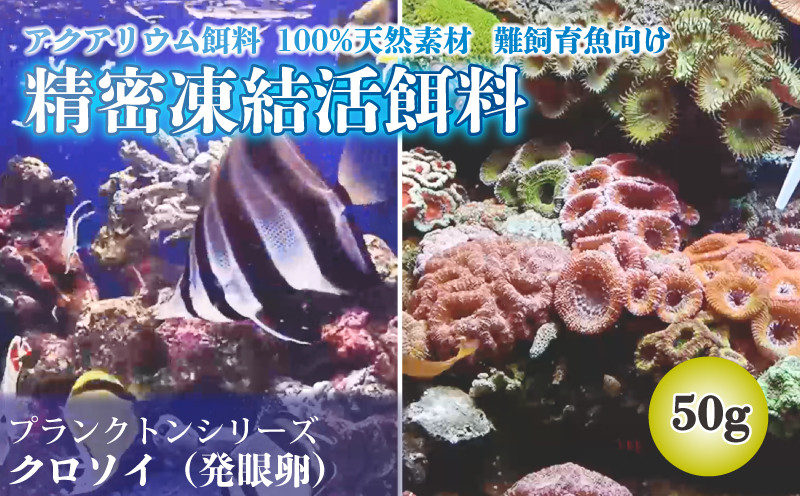 
精密凍結活餌料 クロソイ（発眼卵） 50g (5g×5個×2袋) 難飼育魚向け餌料 観賞魚 熱帯魚
