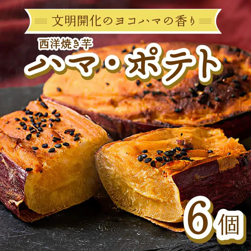 西洋焼き芋「ハマポテト」６個セット ALG0009