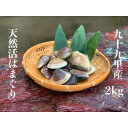 【ふるさと納税】網元直送 九十九里産　活はまぐり　約2.0kg【配送不可地域：離島・北海道・沖縄県・東北・中国・四国・九州】【1363787】