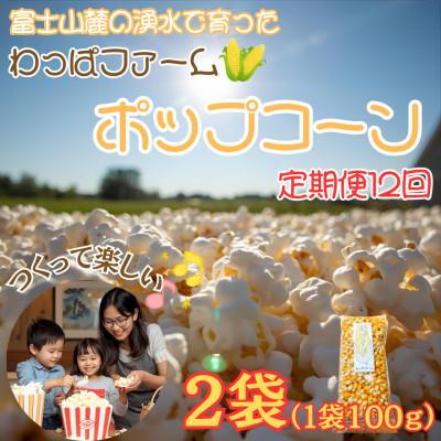 ふるさと納税 西桂町 【毎月定期便】【訳あり】おやつ!!有機栽培で作ったこだわりポップコーン2袋(1袋100g)全12回