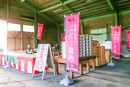 【予約受付・数量限定】犬山産 シャインマスカット 約2キロ [0536]