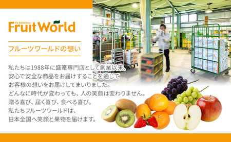 いちご 紅ほっぺ JA遠州中央 静岡県産 いちご【260g×4パック】