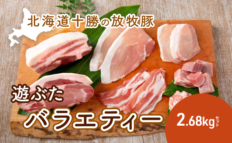 北海道十勝の放牧豚”遊ぶた”バラエティー2.68kgセット お肉 豚肉 ロース バラ肉 ブロック モモ肉 粗びき 詰め合わせ 