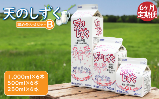 【定期便：全6回】天のしずく　詰め合わせセットＢ(1000ml×6本・500ml×6本・250ml×6本,合計10.5L)　【5100401】