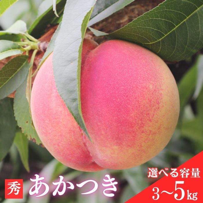 【ふるさと納税】桃 あかつき【長野県産】桃(あかつき) 約3kg～ 秀品 ＜2026年7月上旬から発送＞ 信州 南信州 産地直送 果物 くだもの もも モモ 旬 旬の果物 旬の桃 山下屋荘介【配送不可地域：離島】