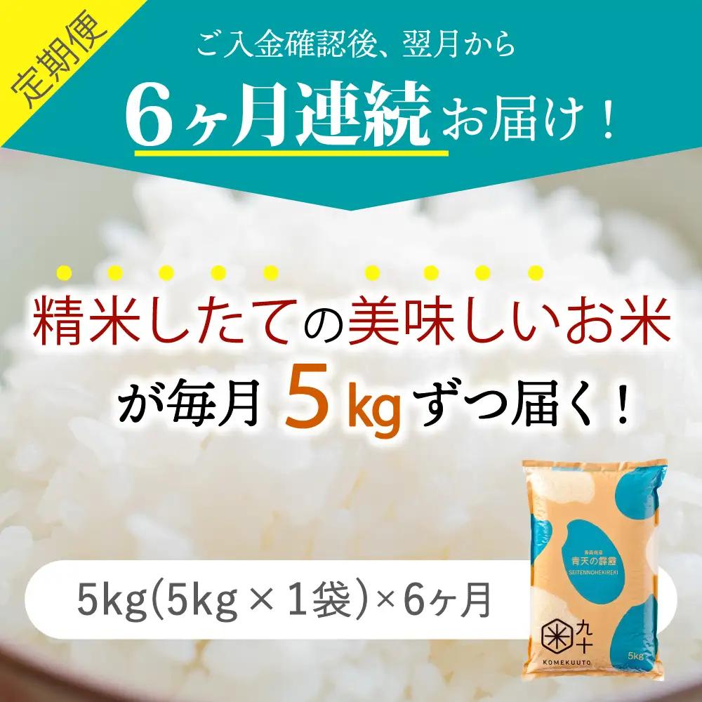 青天の霹靂 5kg 定期便6ヶ月 令和7年産米 精米 特A 晴天の霹靂