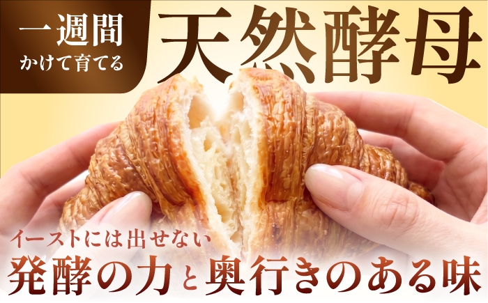 パン ハードパン 冷凍パン ぱん 詰め合わせ セット パン詰め合わせ パン詰合せ パンセット 人気 おまかせ　パンセット