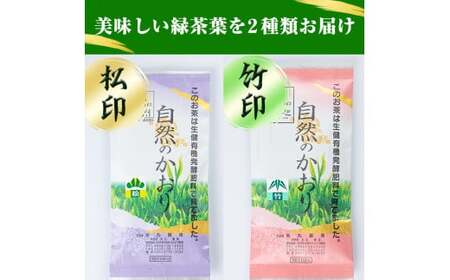 緑茶 鹿児島緑茶「自然のかおり」緑茶5袋 粉末緑茶1袋 合計5袋セット【米丸製茶】緑茶 お茶 鹿児島県産茶葉 有機栽培【A-932H】