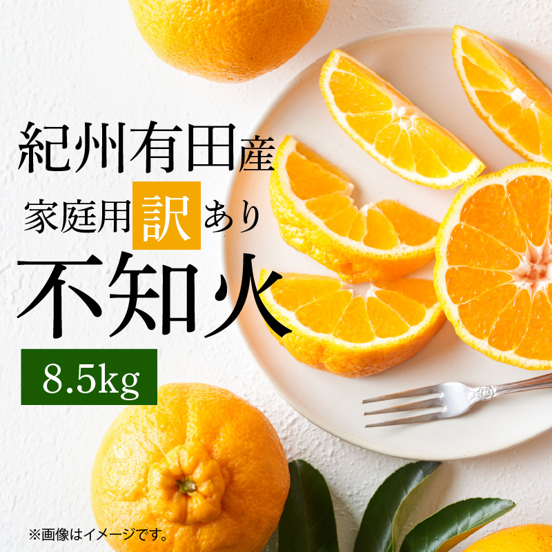G7359_【2026年先行予約】紀州有田産 不知火 (しらぬい)【家庭用 訳あり】8.5kg