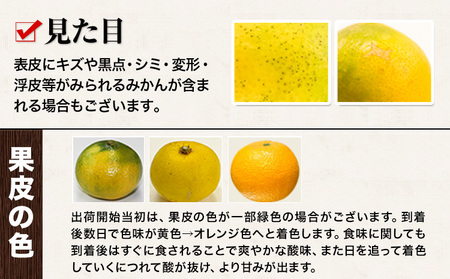 訳あり みかん くまもと小玉みかん 10kg (10kg×1箱) 秋 旬 ちょっと訳あり 不揃い 傷 ご家庭用 SDGs 小玉 たっぷり 熊本県 産 S-3Sサイズ フルーツ 旬 柑橘 長洲町 温州み