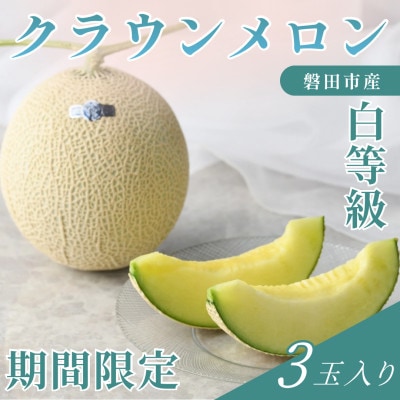 【2026年5月中旬より発送】磐田市 ねらい目 クラウンメロン 白等級 約1.3kg×3個【配送不可地域：離島・北海道・沖縄県】