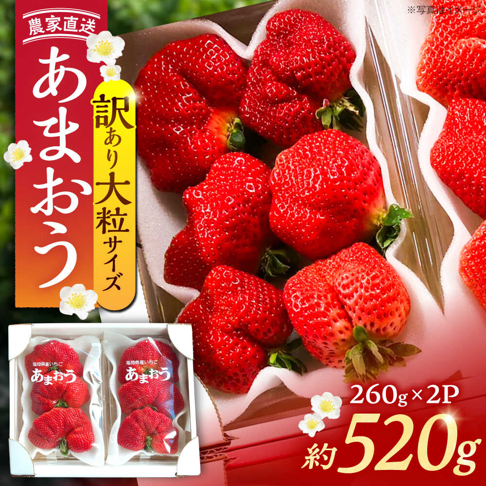 【ふるさと納税】【先行予約】【1~4月発送】農家直送 大玉規格 特大大粒あまおう《豊前》【内藤農園】[VAB023] 果物 いちご あまおう イチゴ 苺 福岡 おやつ フルーツ スイーツ 農家直送 採れたて