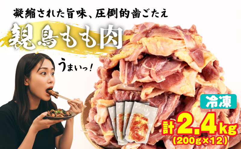 親鶏 もも肉 2.4kg 200g × 12 パック 鶏肉 鶏 チキン  タンパク もも 肉 とり にく お家ごはん 国産 親鳥 鳥肉 精肉 ブランド鶏 鍋 汁物 郷土食 冷凍 小分け マルコ岩村 新潟県 新発田市 maruco001_01