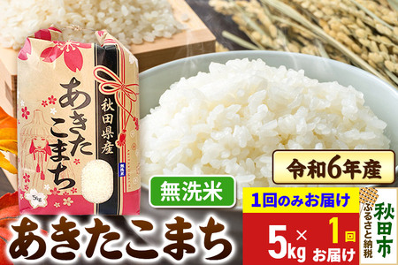 あきたこまち 5kg 令和6年産 【1回のみお届け】【無洗米】秋田県産