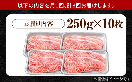 【12回定期便】佐賀県産 黒毛和牛 贅沢ロースステーキ 250g×5枚（計1250g）【株式会社いろは精肉店】[IAG095]