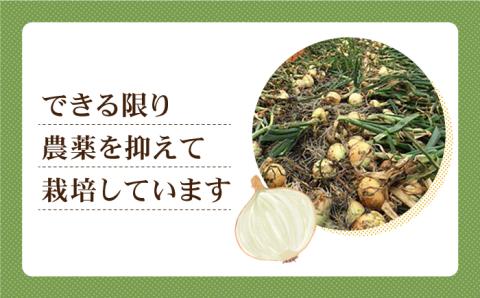 【毎日のお料理に】江北町産 たまねぎ 約10kg【百武青果】 [HAE017]