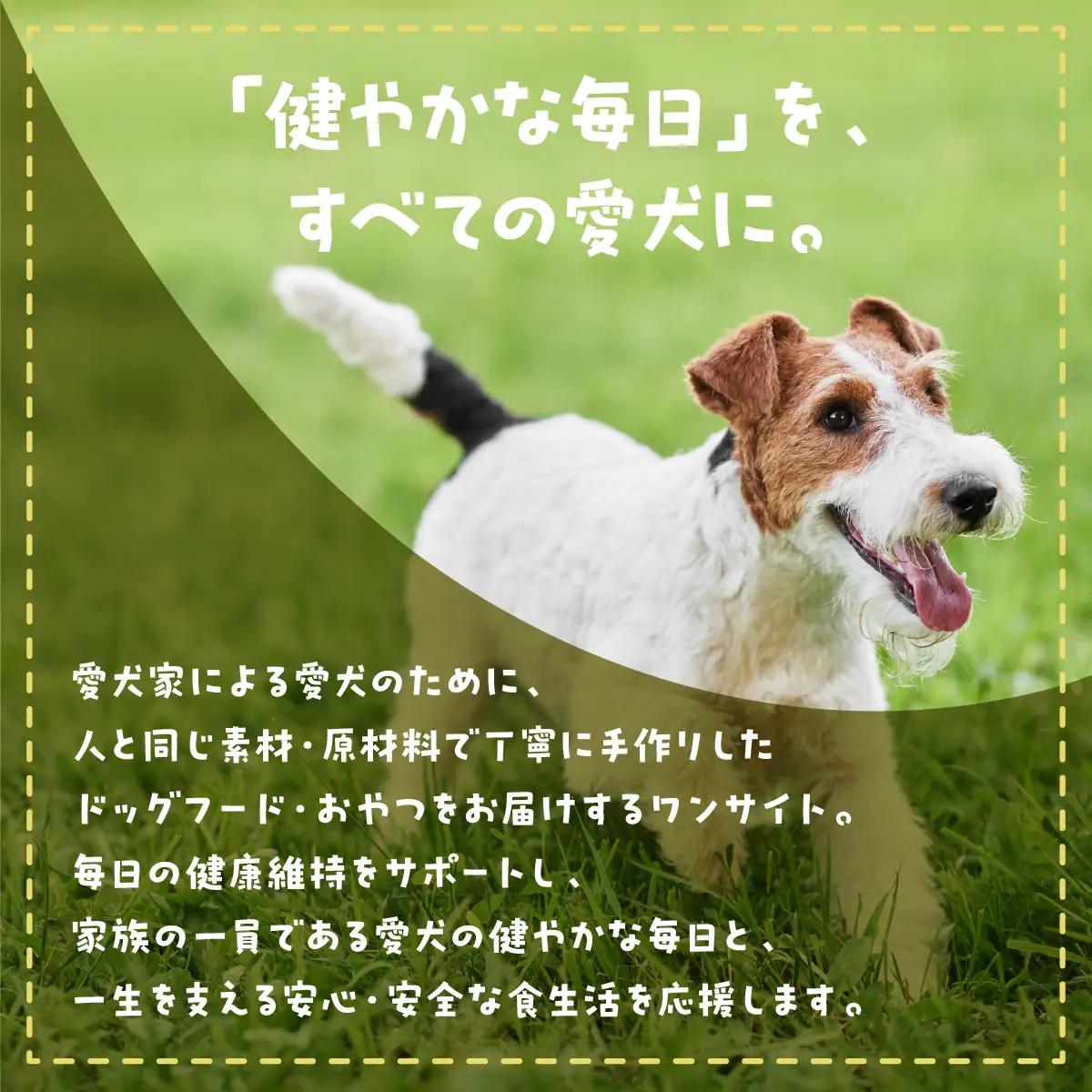 【完全無添加・国産・犬のおやつ】 サメの身のみを燻製 「燻製サメジャーキー」 180g (60g×3袋) | 株式会社wan-site | 国産 手作り 無添加 わんちゃん 犬 ペットフード おやつ 