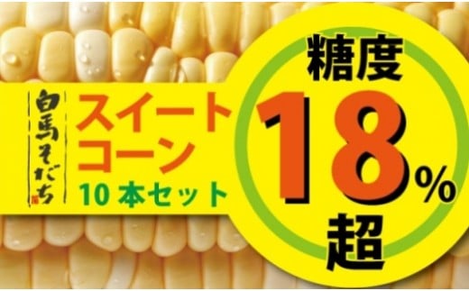 
            白馬そだち 糖度18%超 スイートコーン10本　【2025年8月発送先行予約】　甘い　産地直送　新鮮　とうもろこし　お取り寄せ　長野県白馬村
          