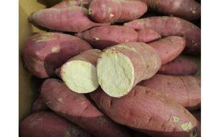 0D-101A 有機JASさつまいも(10kg/訳あり/S~Lサイズ)