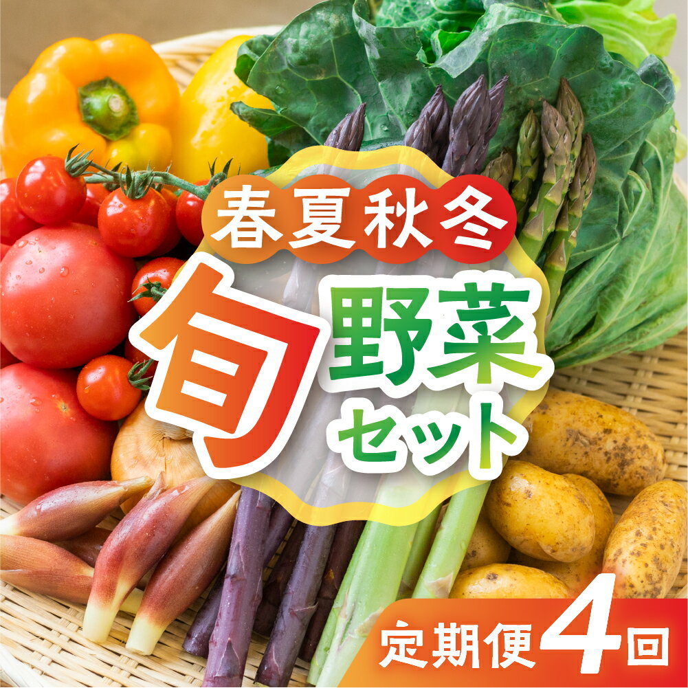 【ふるさと納税】季節の野菜の定期便 飛騨産直市そやな直送 トマト店長厳選 飛騨産 旬の野菜セット 5-6品 野菜セット 定期便 4回 おまかせ 詰め合わせ 産地直送 《hida0307》