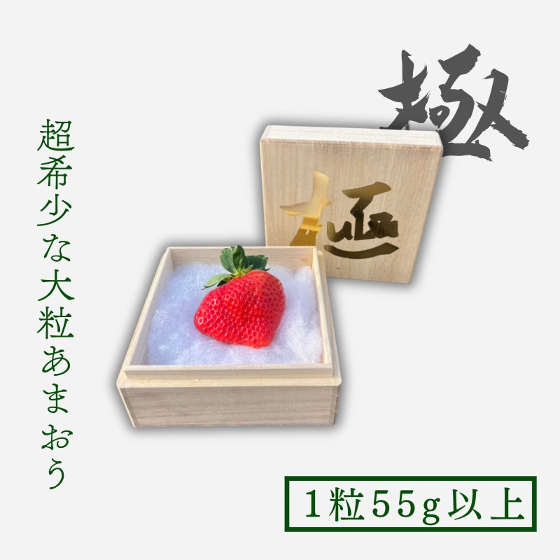 いちご 大粒 あまおう 苺 「極」 1粒55g以上 果物