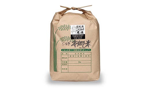 とちぎ本郷米（にこまる）5キロ（令和6年産）【お米 こめ 白米 食品 人気 おすすめ 】