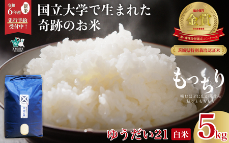 【令和６年産 新米】2週間以内発送 品評会を席巻した奇跡のお米 ゆうだい21 こしひかり 常陸の瞳 白米５kg　【茨城県 常陸太田市 ゆうだい21 宇都宮大学 コシヒカリ GAP認証 森 ミネラル 水 山田川 安全 安心 美味しい 米 農家 産直 直送】