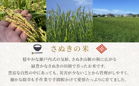 令和7年度産 新米 こしひかり 3kg さぬきの米 たべてんまい