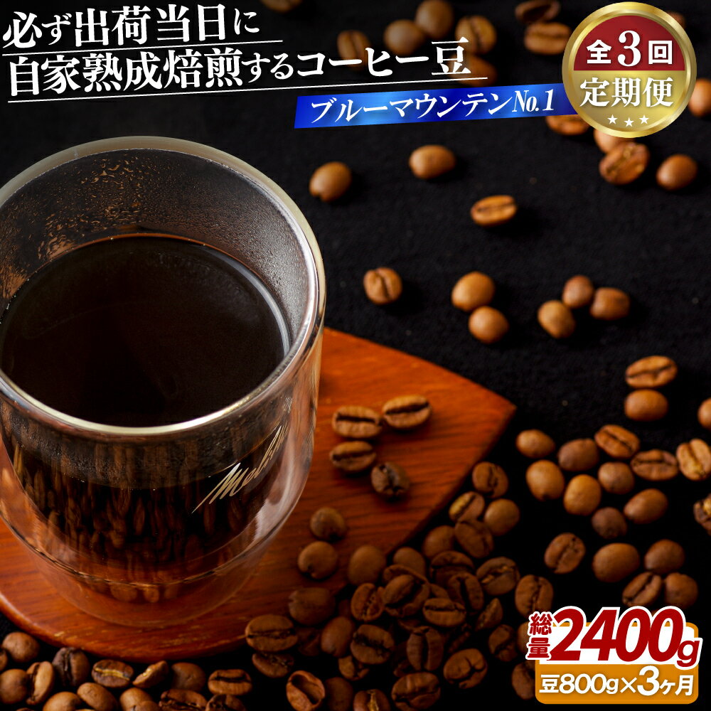 【ふるさと納税】必ず出荷日に自家熟成焙煎ブルーマウンテンNo.1豆(800g)【3回定期便】 120000円