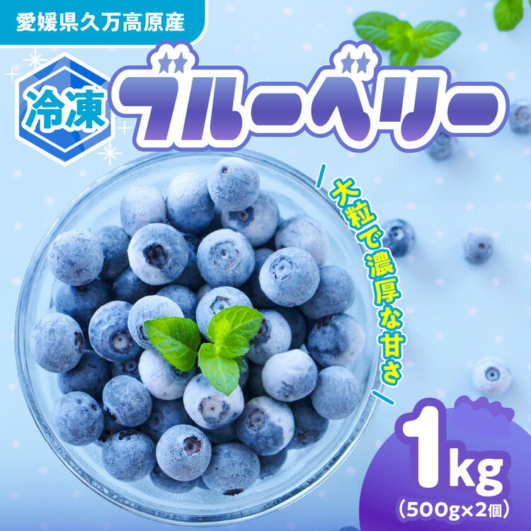 【ふるさと納税】冷凍 ブルーベリー 大粒 1kg (500g×2パック) 5種類ミックス | 国産 愛媛県 久万高原町 農園直送 栽培期間中 農薬不使用 果実 フルーツ 果物 くだもの 朝食 ヨーグルト スムージー ビタミンC 食物繊維 長期保存