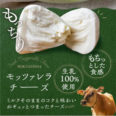 ふるさと納税 飛騨市 飛騨の牛乳屋・牧成舎の飛騨のフレッシュモッツァレラチーズ5個セット |  | 01