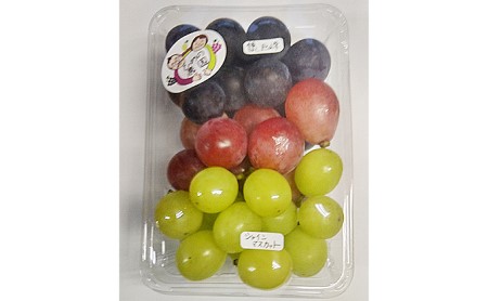 2024年産 ぶどう3種セット 約420g