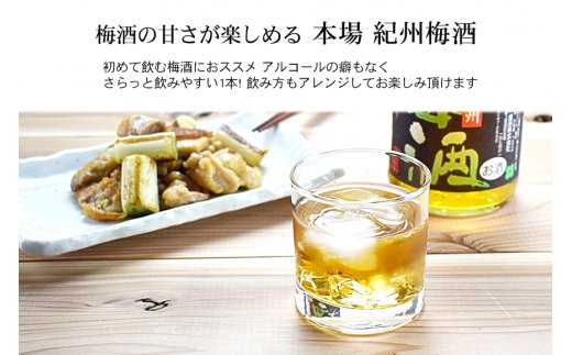 本場紀州梅酒　6本セット