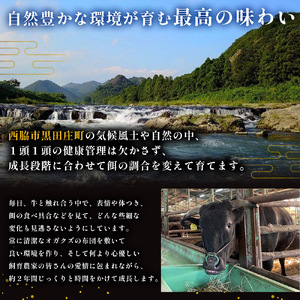 【神戸牛】しゃぶしゃぶ用モモ・ウデ:１kg【最短7営業日発送】黒田庄和牛【冷蔵】38-8