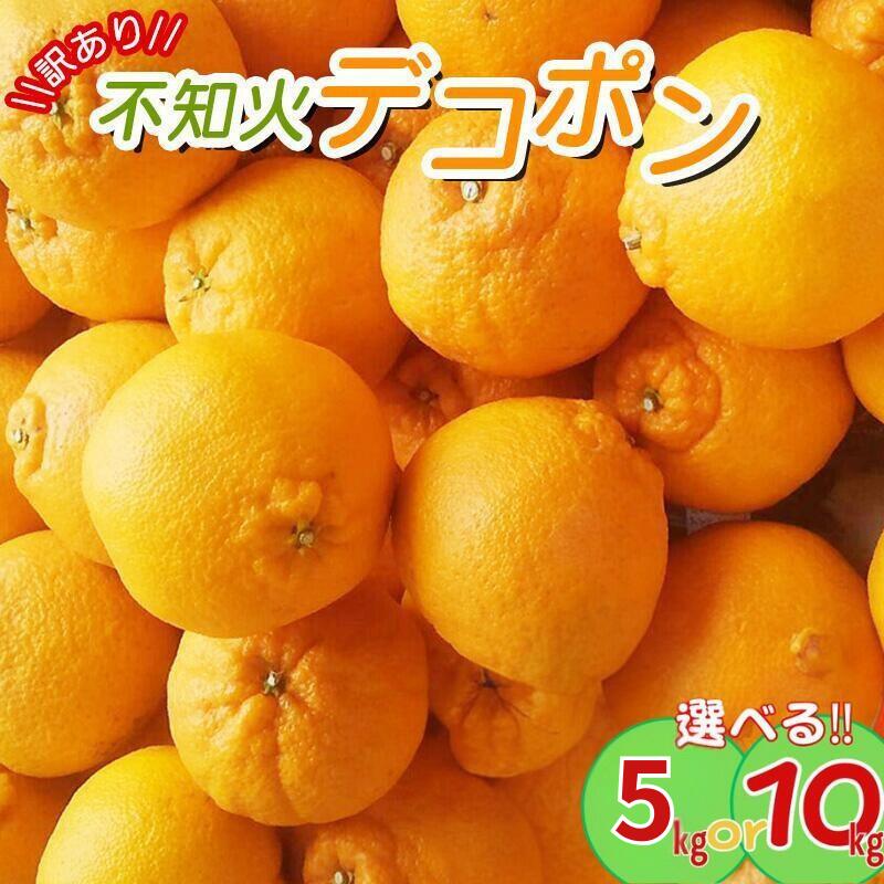 【ふるさと納税】【訳あり】 ＼光センサー選別／ちょこっと訳あり不知火デコポン 約5kg・10kg ご家庭用 先行予約 【2026年2月中旬より順次発送予定（お届け日指定不可）】 訳ありデコポン ワケあり ワケアリ