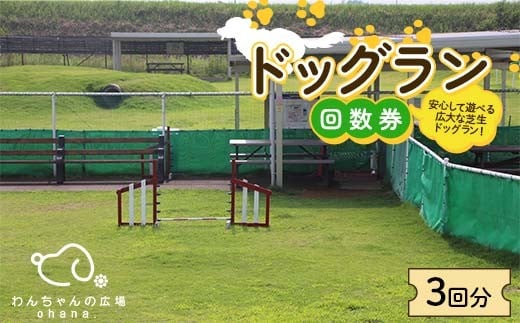 ドッグラン回数券 3回分（3,000円分）体験 ペット 犬 体験チケット チケット F6T-804