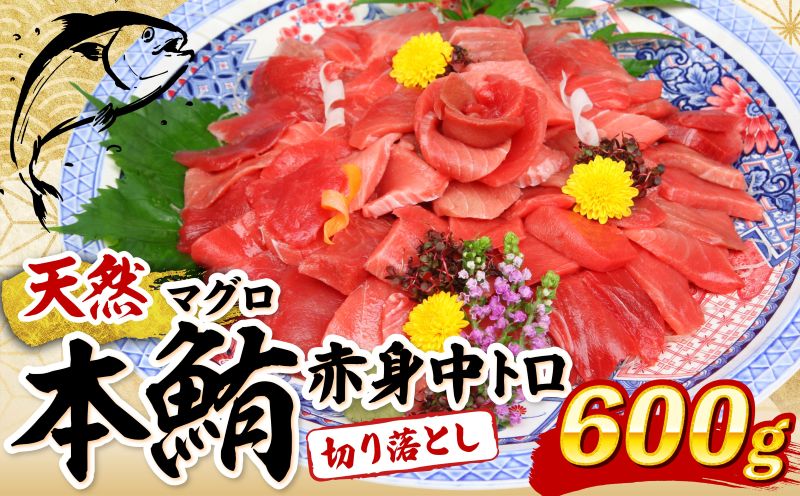 天然本マグロ ( 中トロ ・ 赤身 ) 切落とし 600g (100g×6パック) マグロ 刺身  魚 惣菜 海鮮丼 魚介類 食べきりサイズ 小分け 冷凍 訳あり 不揃い 送料無料