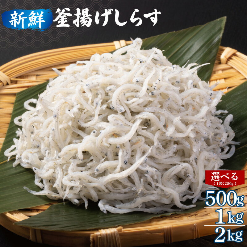 【ふるさと納税】新鮮 釜揚げしらす 合計 500g / 1kg / 2kg 小分け 各 250g 保存料 不使用 しらす 新鮮なしらす 急速冷凍 シラス本来の旨味 お取り寄せ お取り寄せグルメ しらす丼 サラダ パスタ 栄養 大阪府 泉佐野市 送料無料