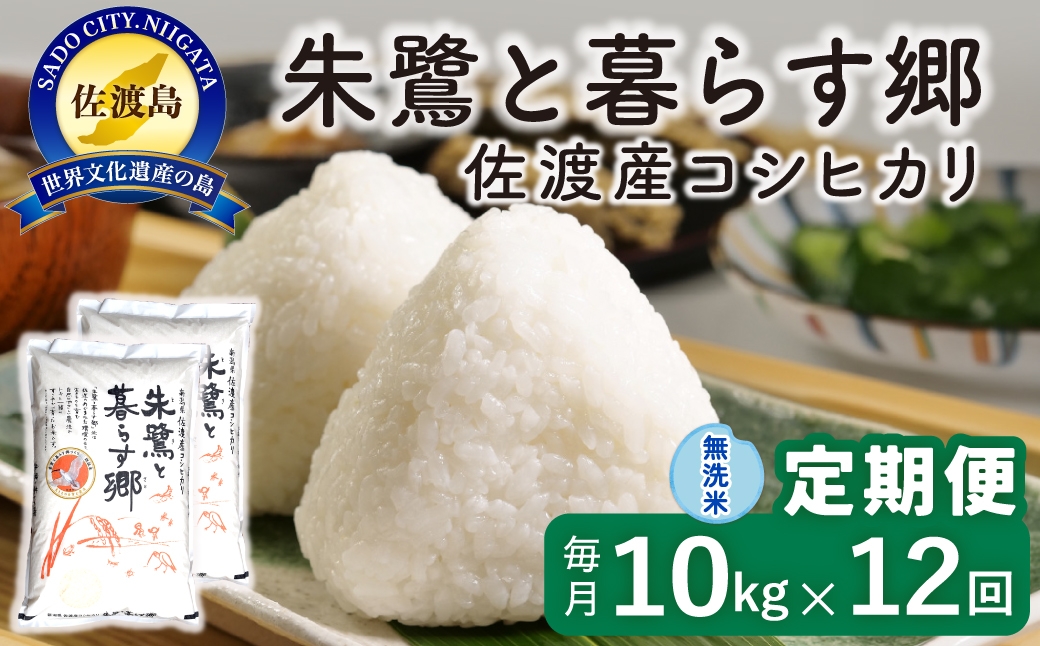 
                  【定期便 令和8年産新米 12か月】 佐渡島産コシヒカリ 無洗米 10kg 令和8年産新米 特別栽培米 | 新潟県産コシヒカリ 新潟産コシヒカリ 佐渡産コシヒカリ 新潟県産こしひかり 佐渡産こしひかり お米 米 こしひかり 無洗米 むせんまい 精米 おこめ コメ 10キロ にいがた さど 新潟県 佐渡市
                
