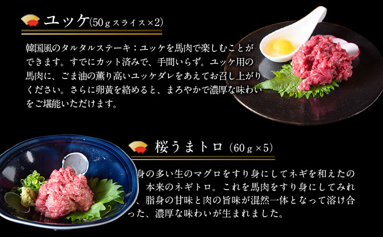 【12ヶ月定期便】馬刺し 厳選プレミアムスライス馬刺しセット 1kg 千興ファーム 馬肉 冷凍 《申込みの翌月から発送》真空パックミシュラン 生食用 肉 菅乃屋 馬刺  贈答 ギフト 国産 _イメージ